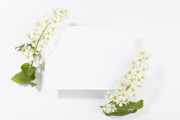 Summer white blank pad for text template with white bird cherry flowers, green leaves in heard light fly on white background. Romantic floral mockup for  advertising, branding identity, greeting card.