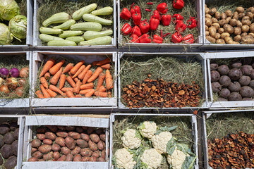 Lots of different vegetables in wooden trays.