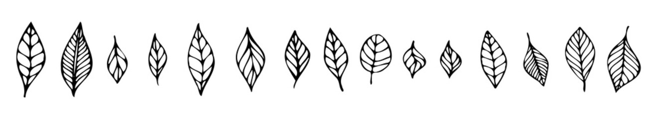 Hand drawn leaves set. Line leaf in cartoon style for coloring page, kids design, season of spring, summer, autumn. Botanical collection icons for ecology.