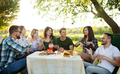 Group of young friends enjoying a picnic sitting outdoors fresh air spending weekend sunny day drinking beverage clinking cups, soft focus