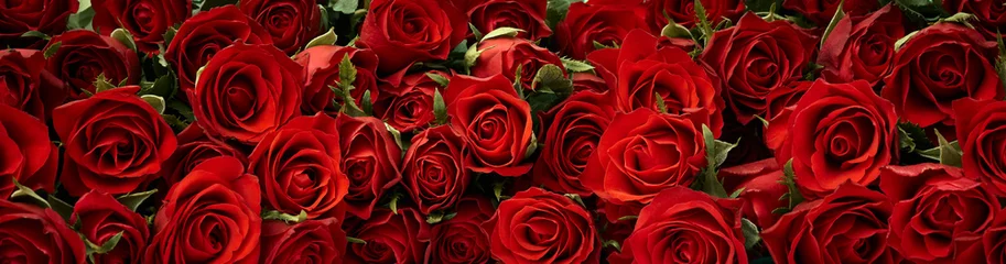 Foto auf Acrylglas Red roses flowers dark background © Nik_Merkulov