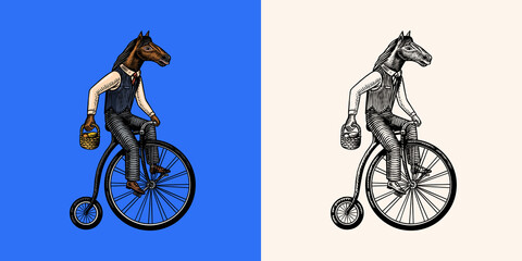 A horse man in a suit rides a bicycle. Food delivery man. Fashion animal character. Hand drawn woodcut outline sketch. Vector engraved illustration for logo and tattoo or T-shirts.