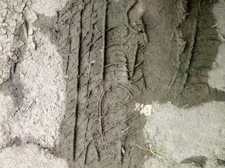 car tire prints on the mud
