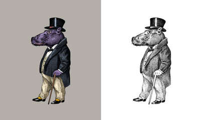 Fashionable hippopotamus. Antique gentleman in a jacket and a top hat. Victorian Ancient Retro Clothing. A man in a suit. Vintage engraving style. Hand drawn old monochrome sketch.