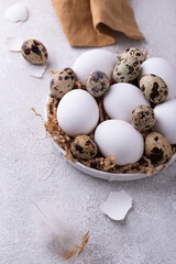 Bowl with chicken and quail raw eggs o