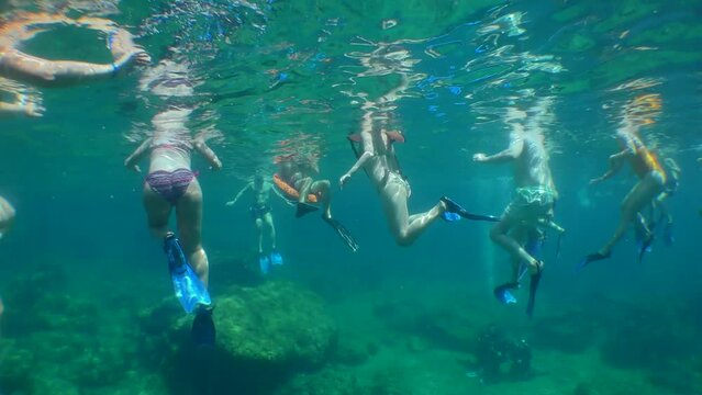 Snorkeling: a group of tourists in underwater masks on the surface of the water, the camera slowly emerges from the water.