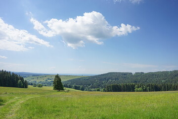 Orlické Mountains