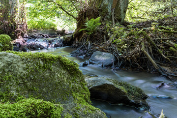 Tiny stream in forest with blurred water and stones covered in moss