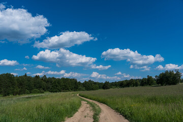 Fototapeta na wymiar Beautiful Czech meadow landscape in hot summer with fresh green grass and puffy white clouds