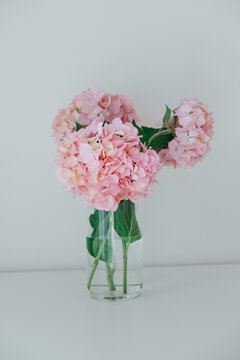 Cute glass vase with hydrangeas flowers on dresser. White interior. Decor details.