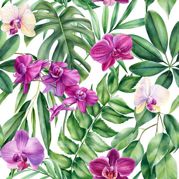 Palm leaves, tropical orchid flowers, watercolor botanical illustration. Seamless floral patterns.