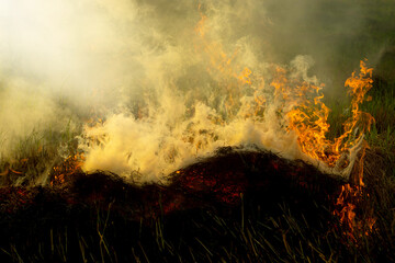 The fire burns rice straw and hay in the field at night. In Northeastern Thailand Southeast Asia
