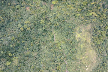 forest trail, northeast corner, New Taipei City, Taiwan.