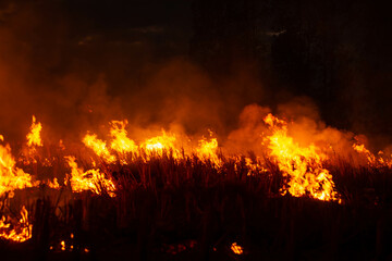 The fire burns rice straw and hay in the field at night. In Northeastern Thailand Southeast Asia  © มนต์เคน ก่นโพน