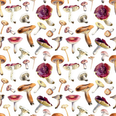 mushrooms seamless pattern - 510649080
