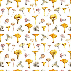 Watercolor seamless pattern. Various forest mushrooms, isolated on a white background. - 510649084