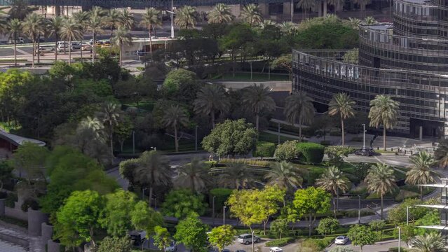 Park in downtown with metro link overpass and traffic on the road timelapse. Aerial top view with palms and trees. Dubai, United Arab Emirates