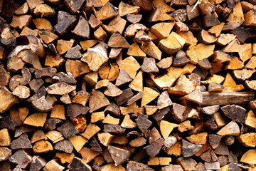 Chopped tree trunks stacked in a woodpile