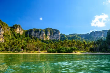 Photo sur Plexiglas Railay Beach, Krabi, Thaïlande Coconut palms and rocks near the water, Tonsai Bay, Railay Beach