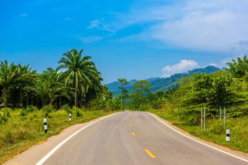 Asphalt highway road in jungles, Khlong Phanom National Park, Ka