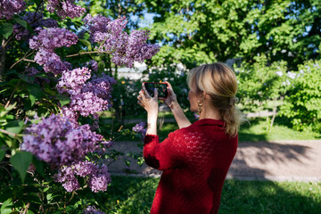 A woman takes pictures of lilacs on her smartphone.