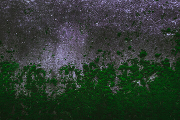 Rock surface cracks. Structure material. Painted Wall. Space. Abstract texture. Rock texture. Stone...