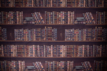 Library background for studio and photo sessions