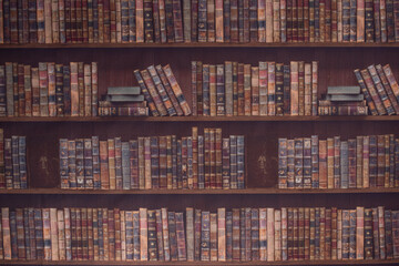 Library background for studio and photo sessions