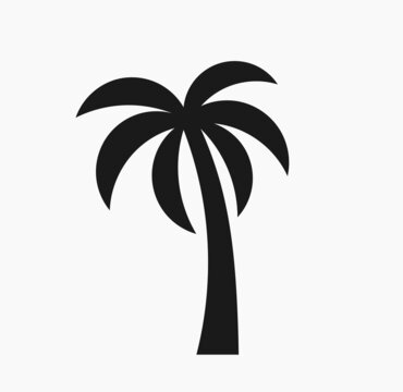 Palm tree icon isolated on white background.