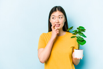 Young asian woman holding a plant isolated on blue background relaxed thinking about something looking at a copy space.