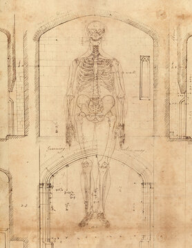 Ancient Renaissance Anatomy and Architecture drawings overlaid in photoshop