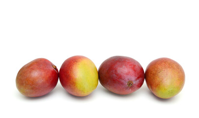 Mango fruits isolated on white background