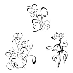 decorative element with stylized blooming flowers on stems with leaves and swirls. graphic decor, SET