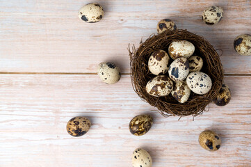 Easter flat lay with quail eggs in the nest on the wooden table.Banner with place for text