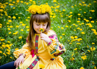 little beautiful girl  in ukrainian yellow embroidery and wreath of flowers sniffing flower in green and yellow meadow with dandelions