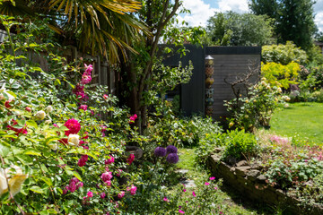 Untidy, wildlife friendly, picturesque suburban cottage garden with spring flowers. Photographed in...