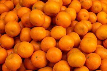 Bunch of Oranges or sweet orange fruits, scientific fruit family Rutaceae, are displayed for sale at New Market area, Kolkata, India.