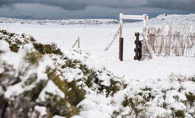 Snowy landscape. Photography for winter tourism
