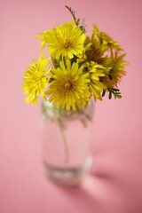 Yellow flowers bouquet on the pink table