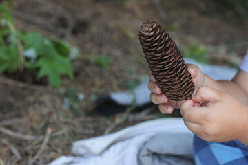 A child holds cone. Bump on children's hands.