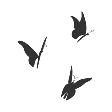 Butterflies silhouette. Vector illustration shadow collection flying winged insects for design.