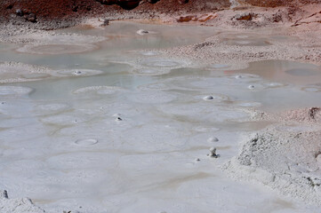 Yellowstone National Park Fountain Paint Pot Lower Geyser Basin