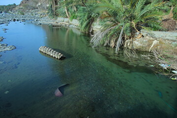 the place is beautiful , with mountains, rocks , small fish