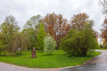 Beautiful landscape view of nature in park on rainy cloudy day. Sweden.