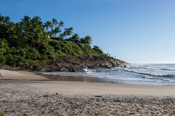 Beautiful paradise beach with palm coconut trees - Itacaré, Bahia, Brazil
