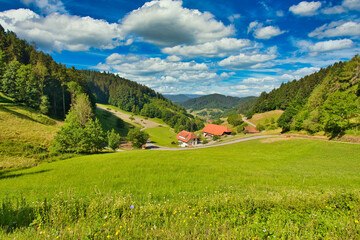 Landschaft bei Lauterbach im Sulzbachtal im Schwarzwald