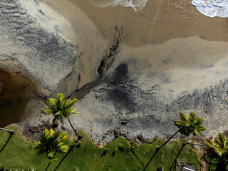 Beautiful paradise beach with palm coconut trees - Itacaré, Bahia, Brazil
