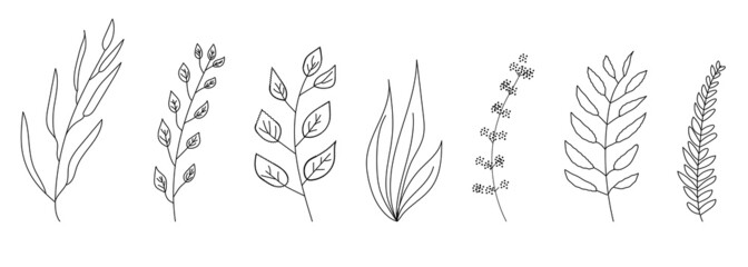 A collection of various branches with leaves drawn by hand, black contour lines on a white background. A set of elements of botanical design. Monochrome isolated floral vector illustration
