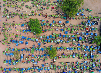 Asia's largest mango wholesale market. Kansat mango market.