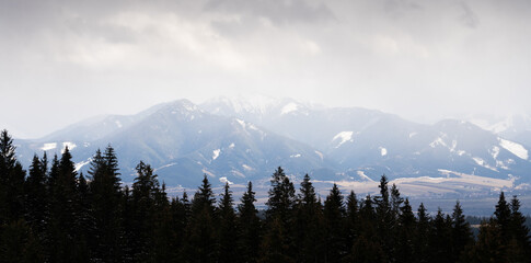 Mountain range shrouded in clouds during winter snow storm, forest in foreground, Slovakia, Europe